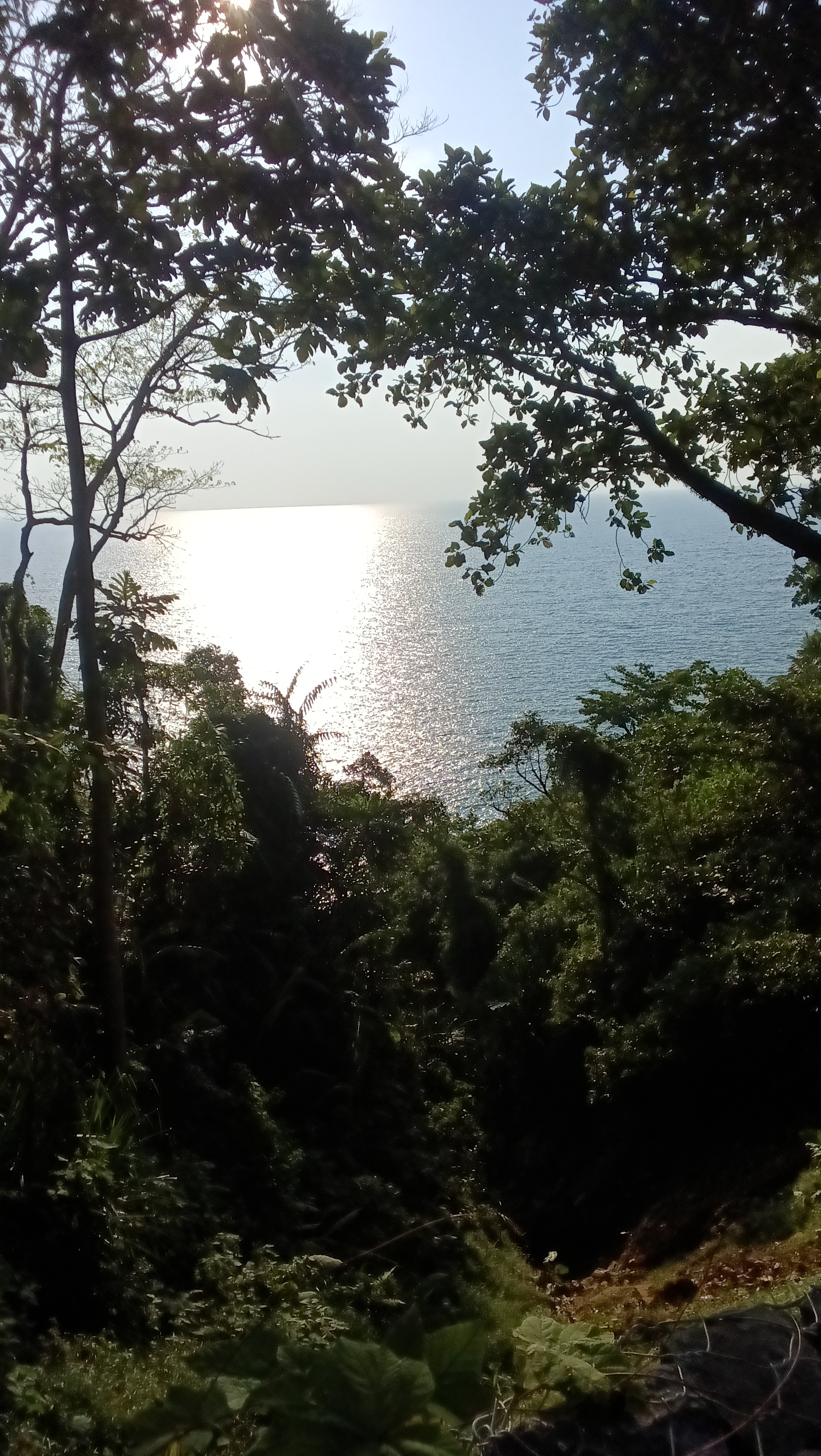 Seekor rubah yang baik hati